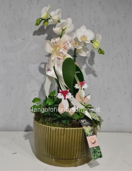 Composizione da Interno