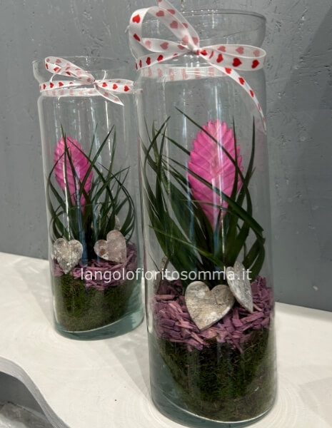 Tillandsia in vetro