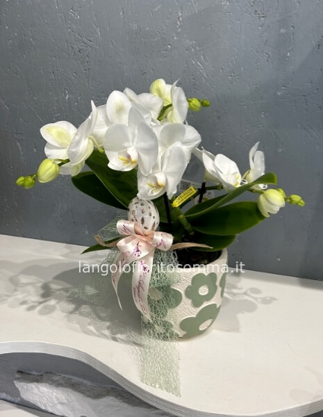 Orchidea Tablo