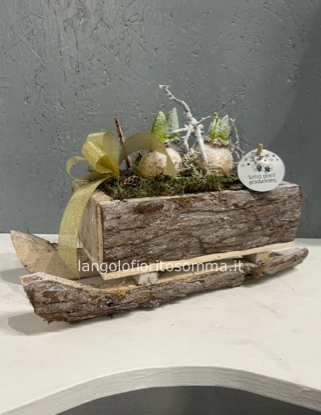 Slitta innevata con giacinti